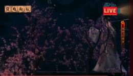 越剧《红楼梦》黛玉葬花经典片段下载，王文娟演绎，感受名著凄美哲思下载