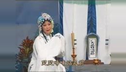 扬剧《秦雪梅吊孝》选段李开敏经典演唱,品味传统戏曲的凄美深情 扬剧《秦雪梅吊孝》选段李开敏经典演唱,品味传统戏曲的凄美深情