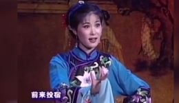 黄梅戏《小辞店》选段资源，吴美莲演唱《喊一声蔡郎哥》在线下载下载