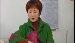 庐剧《老光蛋》选段,主演:朱德顺、孙晓云、魏小五 庐剧《老光蛋》选段,主演:朱德顺、孙晓云、魏小五