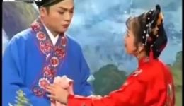 庐剧《小辞店》选段 主演朱德顺、孙晓云 剧情介绍 庐剧《小辞店》选段 主演朱德顺、孙晓云 剧情介绍