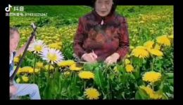 大调曲子《习字歌》下载|国学书法启蒙必备,轻松掌握书写精髓 大调曲子《习字歌》下载|国学书法启蒙必备,轻松掌握书写精髓