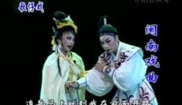 双飞燕