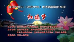 越剧《红楼梦》全剧完整版下载经典戏曲，沉浸式视听盛宴