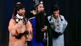 晋剧经典《芦花》选段免费资源，孝道题材戏曲在线下载