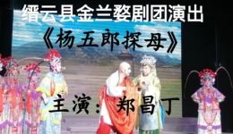 婺剧经典《杨五郎探母》郑昌丁主演，在线下载高清戏曲资源，领略传统艺术魅力