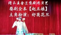 婺剧全本《赵五娘》在线观看，舒英主演，经典讨饭戏资源下载