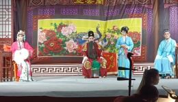 锡剧《珍珠塔·后园会》实景录制珍藏版，名家演绎经典戏曲选段在线下载下载