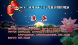 越剧经典《追鱼》全剧下载｜人鱼绝恋高清资源，徐玉兰王文娟主演，免费获取下载