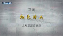 京剧《红色特工》全剧下载，蓝天董洪松等实力主演，谍战经典不容错过下载