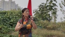 徐玉银演唱河南坠子《王二姐思夫》完整版下载，经典坠子名段在线获取