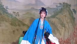 扬剧《分裙记》投井片段2李治娟演唱，经典扬剧选段在线下载