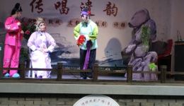 越剧《花为媒》报花名经典片段，郭金凤方艳等名家演绎，戏曲下载首选下载