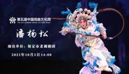 保定老调经典《潘杨讼》全集下载，传承忠义精神，畅享戏曲视听盛宴