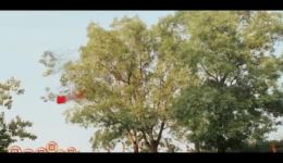 豫剧《家有婆媳》全场戏在线观看下载，李亚楠等主演乡村伦理戏曲下载