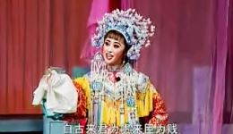 山东吕剧《打金枝》全剧下载 - 郭爱琴李肖江彭莉媛主演经典戏曲资源