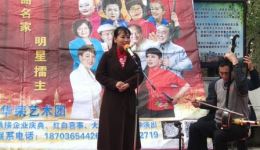 坠子皇后胡中花经典演绎！河南坠子《报母恩》孝道主题全本资源下载