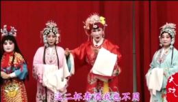 豫剧《众媳妇齐献酒》刘新菊经典演唱，家庭伦理温情大戏在线下载