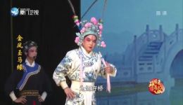 金凤玉马缘