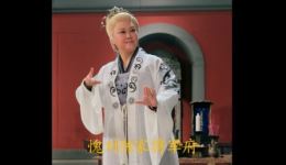 豫剧《魏敬夫人》经典选段扶灵牌望苍穹，王惠深情演绎家国大义下载