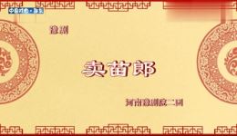 豫剧《卖苗郎》全场戏高清下载 - 张秀丽田宏亚刘晓光主演经典豫剧资源