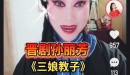 晋剧孙丽芳全本《三娘教子》在线下载，经典传统剧目完整呈现下载