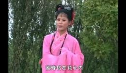 庐剧《怀了孩子入洞房》上集高清下载|赵三周玉兰主演,传统民俗情感大戏在线看 庐剧《怀了孩子入洞房》上集高清下载|赵三周玉兰主演,传统民俗情感大戏在线看