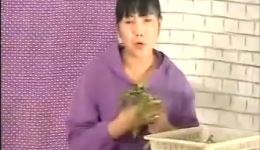 现代淮剧《苦小草》第1集在线观看，经典淮剧资源下载，感受底层人物的坚韧力量