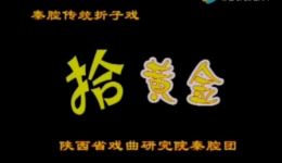 秦腔《拾黄金》全集下载｜陕西戏曲研究院经典剧目，谭敏、孙存蝶精彩演绎，感悟人生真谛下载