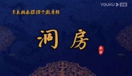 秦腔经典《蝴蝶杯·洞房》李东桥齐爱云联袂演绎，忠义爱情交织的戏曲盛宴在线观看下载