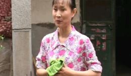 槐花寻夫