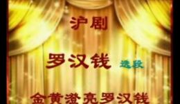 罗汉钱