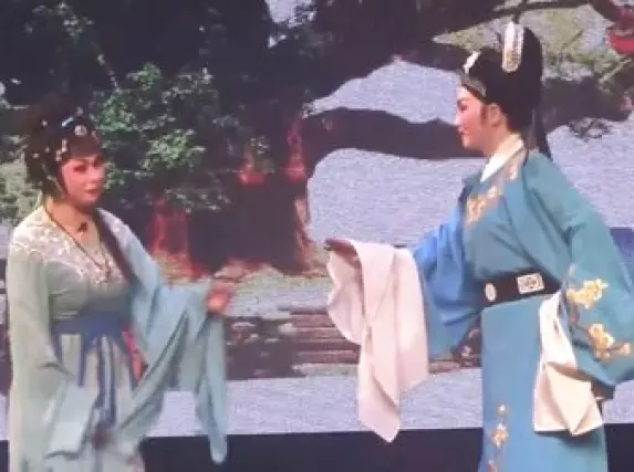 婺剧《皇亲择婿》全剧字幕版在线观看，缙云小百花倾情演绎，不容错过