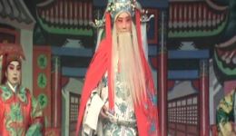抄杜府