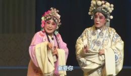 对花枪