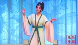 蝴蝶梦