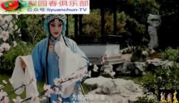 豫剧《谁不说俺家乡好》在线观看曹随风孙涛演绎海峡情缘与乡村振兴故事下载