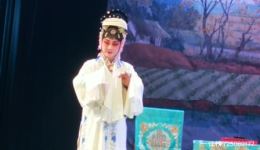 楚剧《窦娥冤》胡香香版全本下载｜湖北省福星楚剧团经典演绎下载