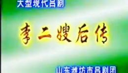 李二嫂后传