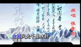 沁园春·雪