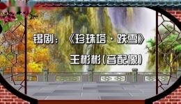 锡剧《珍珠塔·跌雪》王彬彬音配像经典，感受彬彬腔独特魅力，畅享戏曲盛宴下载