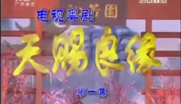 天赐良缘