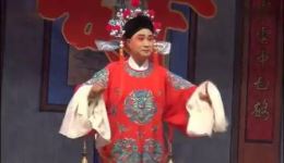 扬剧《打金枝》全剧下集下载扬州市张寿清扬剧团正版演出资源