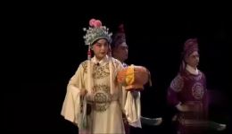 湘剧《狸猫换太子·盘盒》庄成主演经典片段，高清戏曲资源在线下载