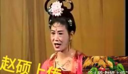 张廷秀私访