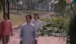 莱芜梆子《红柳绿柳》1982年戏曲电影全集下载，山东地方戏经典现代剧mp4资源