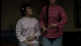 珍藏版吕剧《李二嫂改嫁》高清MP3/MP4下载，李君郎咸芬经典演绎，山东吕剧名作在线获取下载