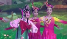 碗碗腔《三月桃花》任小蕾主演 陕西省戏曲研究院精品戏曲下载 碗碗腔《三月桃花》任小蕾主演 陕西省戏曲研究院精品戏曲下载