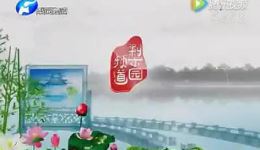秦腔全本《血手印》下载李爱琴主演，高清戏曲视频MP4/MP3资源