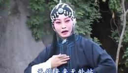 秦腔旦角演唱专辑（共16段）韩利霞李锦航主演，高清秦腔戏曲下载下载